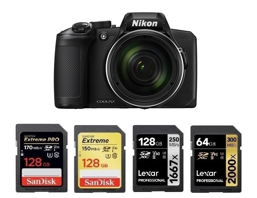 Classe 10 SD Memory Card Compatibile con Nikon Coolpix S6900 S33 Keple 16GB Scheda di Memoria SD Carte S7000 S6800 SLR Fotocamera S9900 S31 16 GB Go G UHS-1 U1 Class 10 SDHC Card 