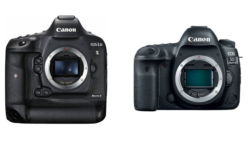 Canon 5д Mark Iv Firmware Update 2022 Download